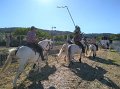 la p'tite feria (14)